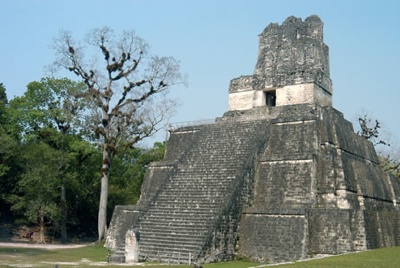 La Gu Tikal 02 461