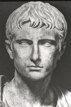 Augustus Prima Head