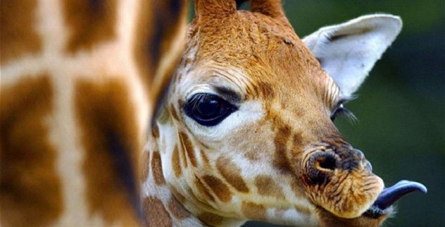 Another 15 Amazing Science Facts - Listverse