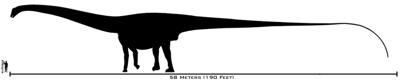 800Px-Human-Amphicoelias Size Comparison