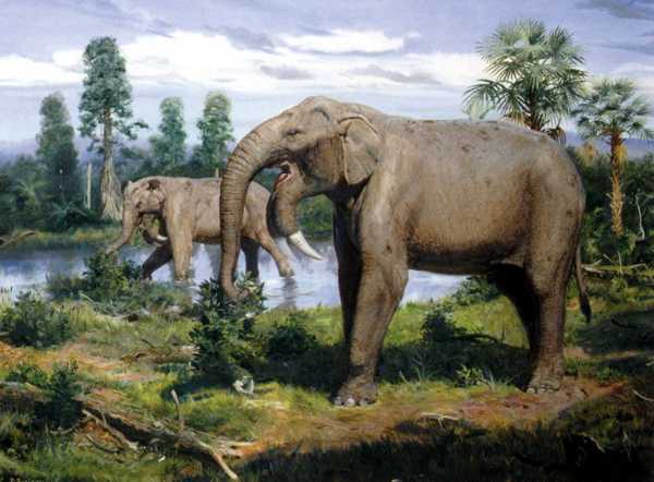 15 Unusual Prehistoric Creatures - Listverse