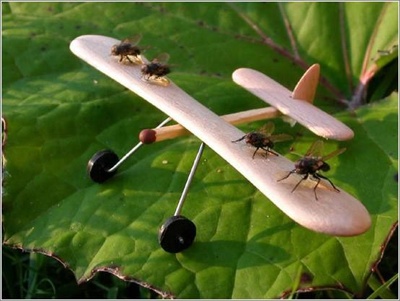 Fly-Powered-Plane-Instructions-Model-Airplane1