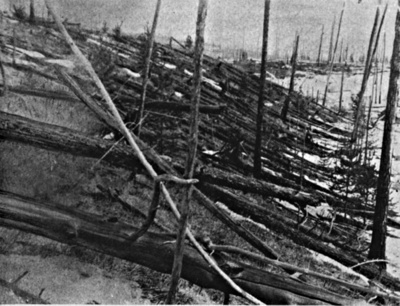781Px-Tunguska Event Fallen Trees