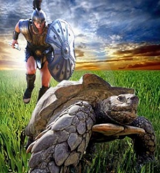 Achilles Tortoise