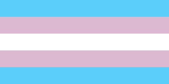 800Px-Transgender Pride Flag.Svg