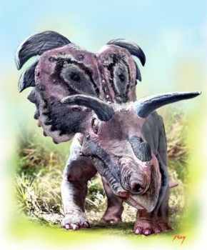 Medusaceratops