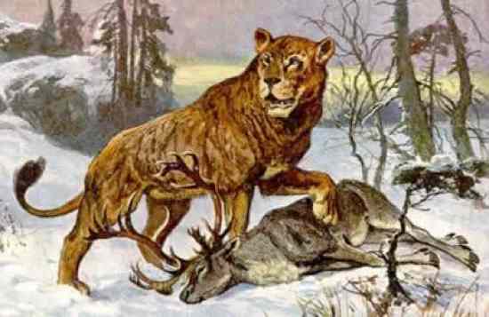 10 Huge Prehistoric Cats - 36