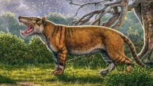 giant prehistoric cats