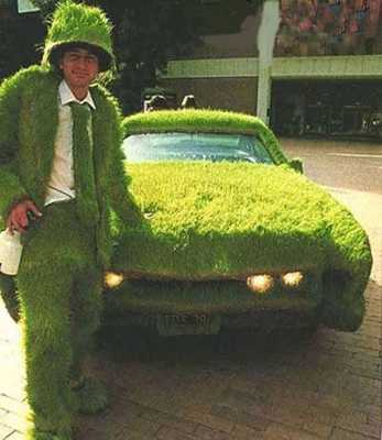 Green-Grass-Car