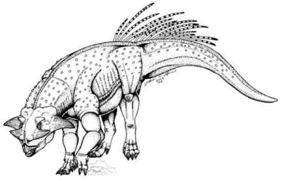 Psittacosaurus Sibiricus Final