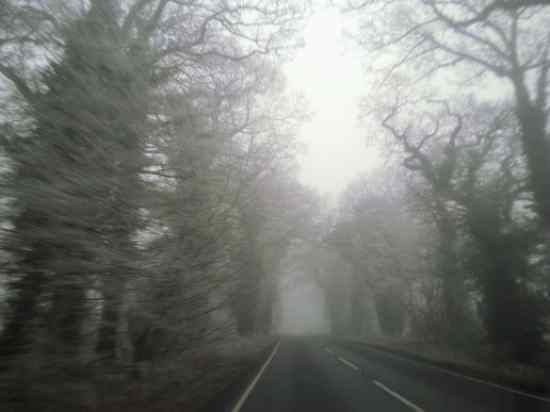 Spooky Road