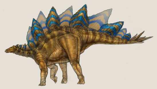 Stegosaurus2