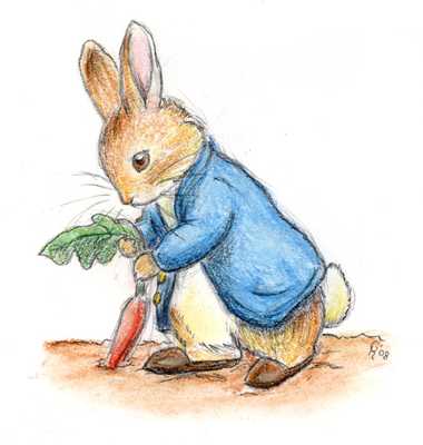 Peter Rabbit By Winnie Beatles