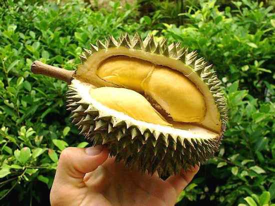 20 More Fruits You Probably Don t Know - 82