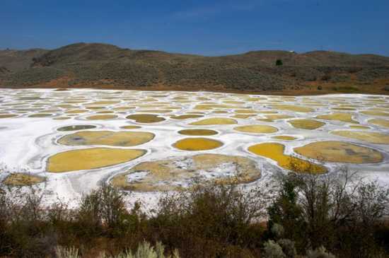 Spotted Lake (Kliluk), Situated In Osoyoos, Canada, Contains One Of The Highest Concentrations Of Mi