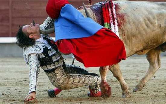 Bullfighter-Gored- 1641811C
