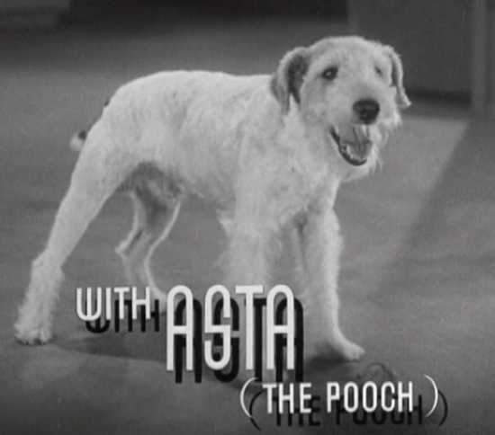 Asta In After The Thin Man Trailer