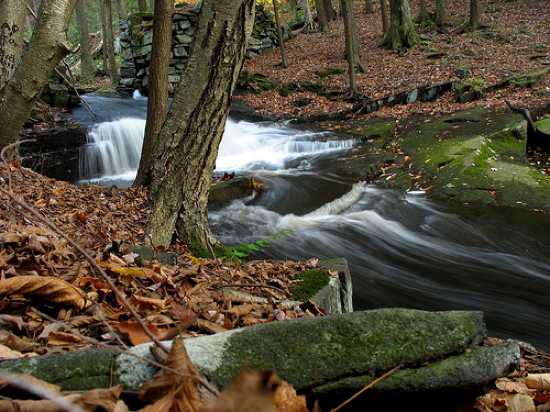 Top 10 Strange and Unique Forests - 39