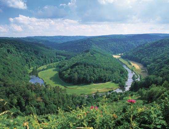 Belgian-Ardennes1