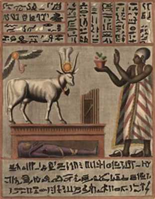 Animal-Domestication-Egypti