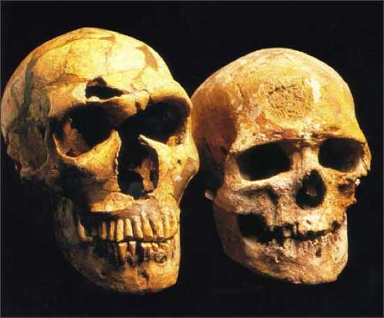 Neanderthalis Cro-Magnon