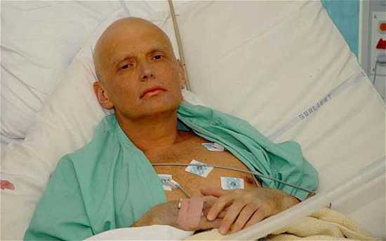 Litvinenko-Alexand 2024119B