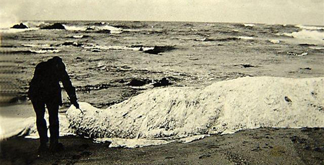 Top 10 Greatest Writers From 10 Languages Listverse