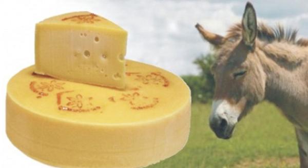 Most-Expensive-Cheese-Made-From-Donkey