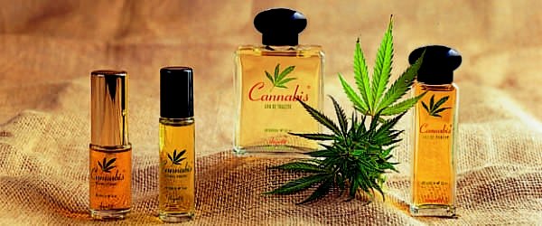 Cannabis Perfume  The First Worldwide Medium Rgb