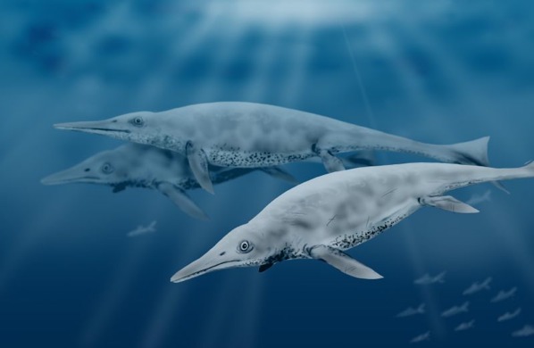 10 Terrifying Prehistoric Sea Monsters - Listverse