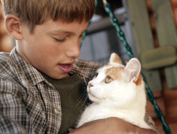 Boy-And-Cat-1090481