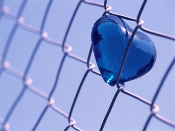 A Glass Heart Stuck in a Prison Fence