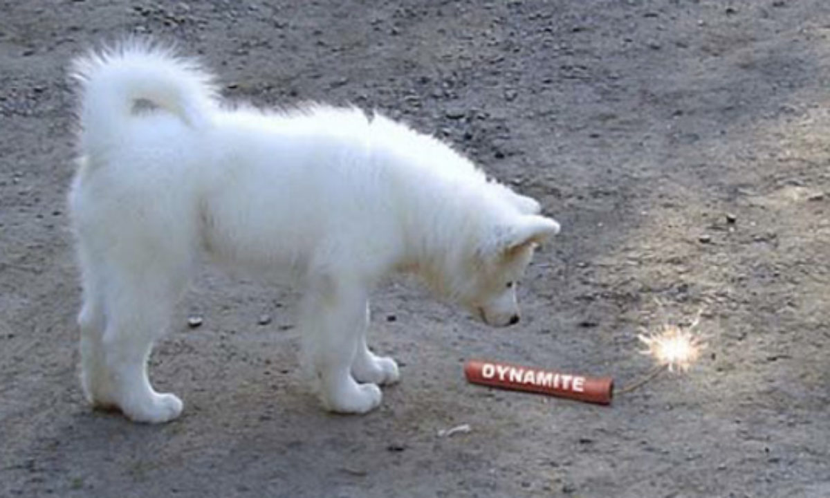 Makalah Bumi Manusia | PDF, image size:1200x720