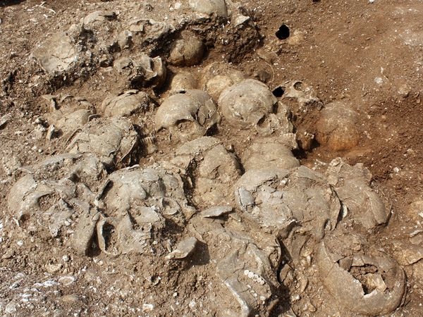 Ridgeway-Burial-Pit-Skulls 16949 600X450
