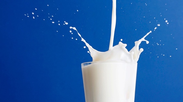 0404 Milk
