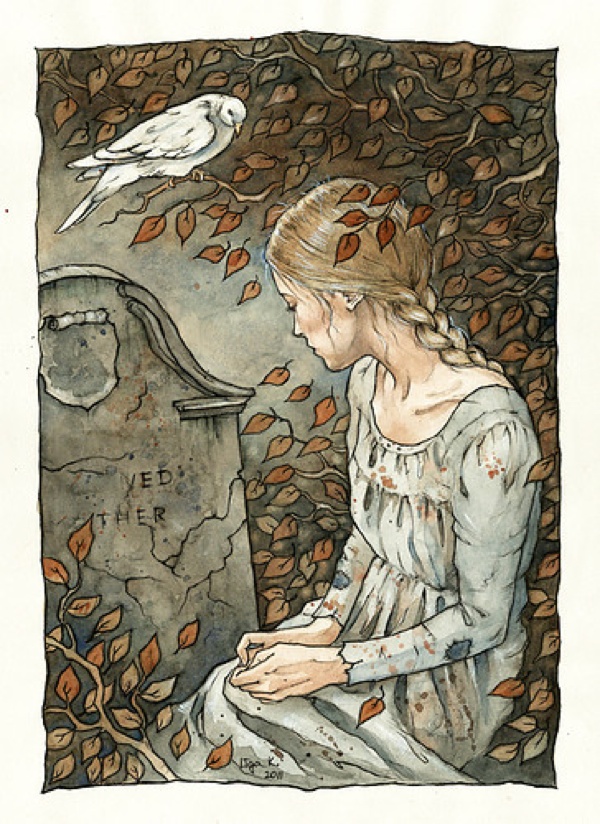 Fairy,Like,Illustration,Art,Bird,Cinderella,Death-Dc2880602F455Dd1Bf8758C10Ee53C4A H