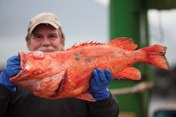 Port Orford Redfish