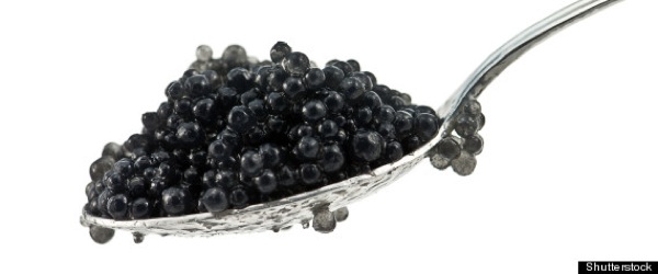 R-Caviar-Illegal-Trade-Large570