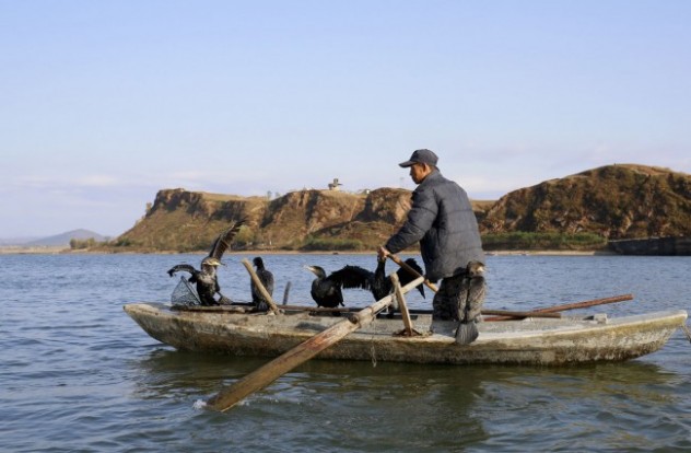 A-North-Korean-fisherman-pilots-a-boat-with-cormorants-perched-onboard-in-the-Yalu-River-near-the-North-Korean-town-of-Sinuiju-facing-the-Chinese-border-city-of-Dandong-on-October-23-2012.-ReutersAly-Song-650x426