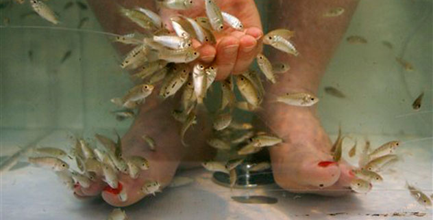 10 Insane Beauty Treatments - Listverse - Vimarsana News