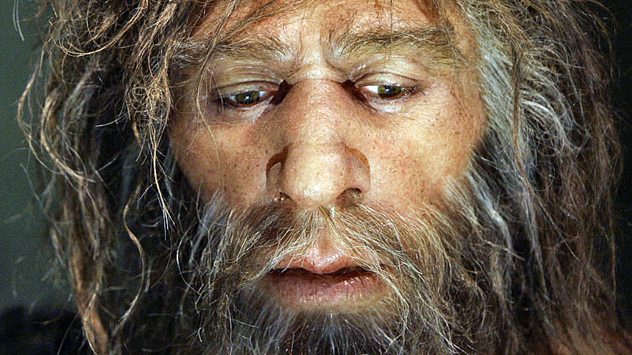 Hi-Neanderthal-852