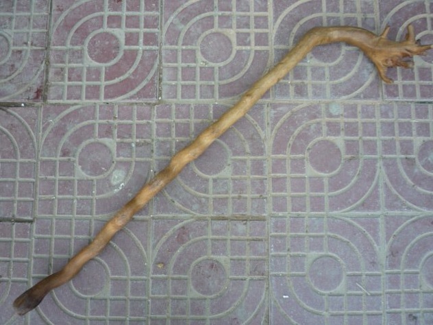 Rare-Old-Chinese-Wooden-Cane-Walking-Stick-Roots-Shape-Best-Collection-Adornment-Free-Shipping