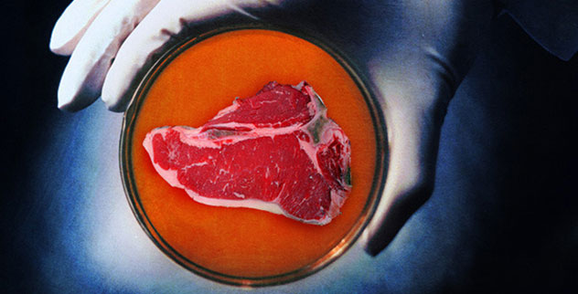 9 Reasons To Reject Vegetarianism - Vimarsana News