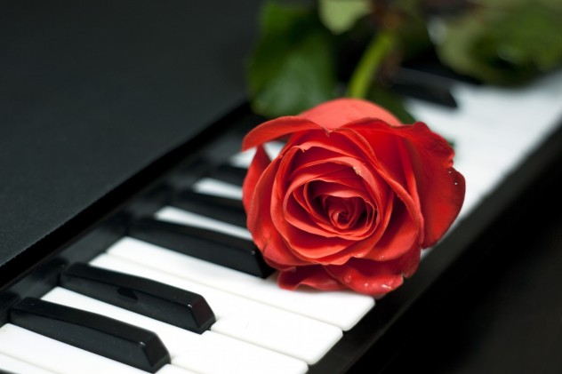 Rosa  at  keys  piano