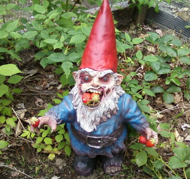 gnome