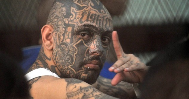 10 Fascinating Facts About Tattoos - Vimarsana News