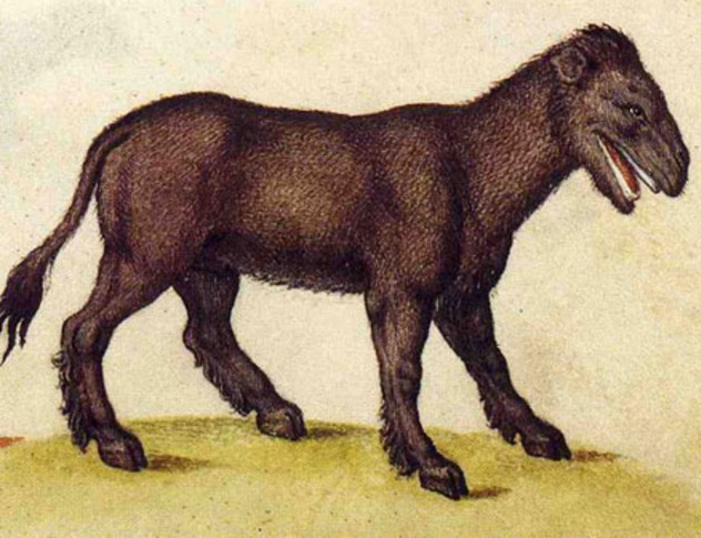 Leucrocuta, medieval illustration