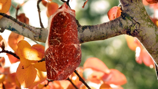 Meat Tree