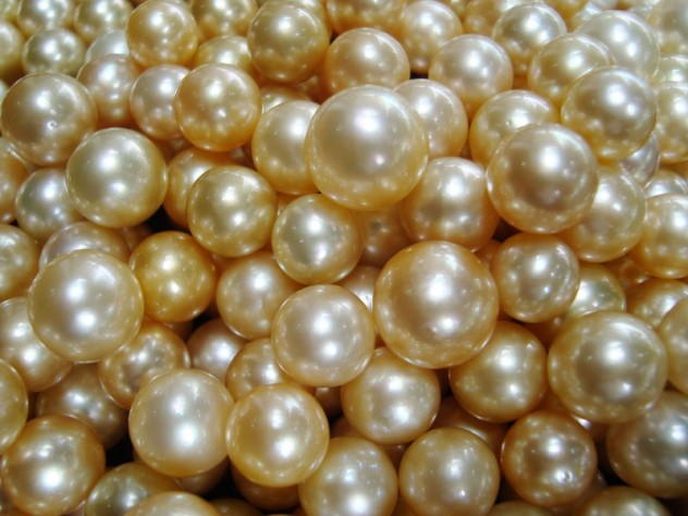 cultured-golden-pearls1