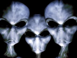Alien-Pictures-Greys-3